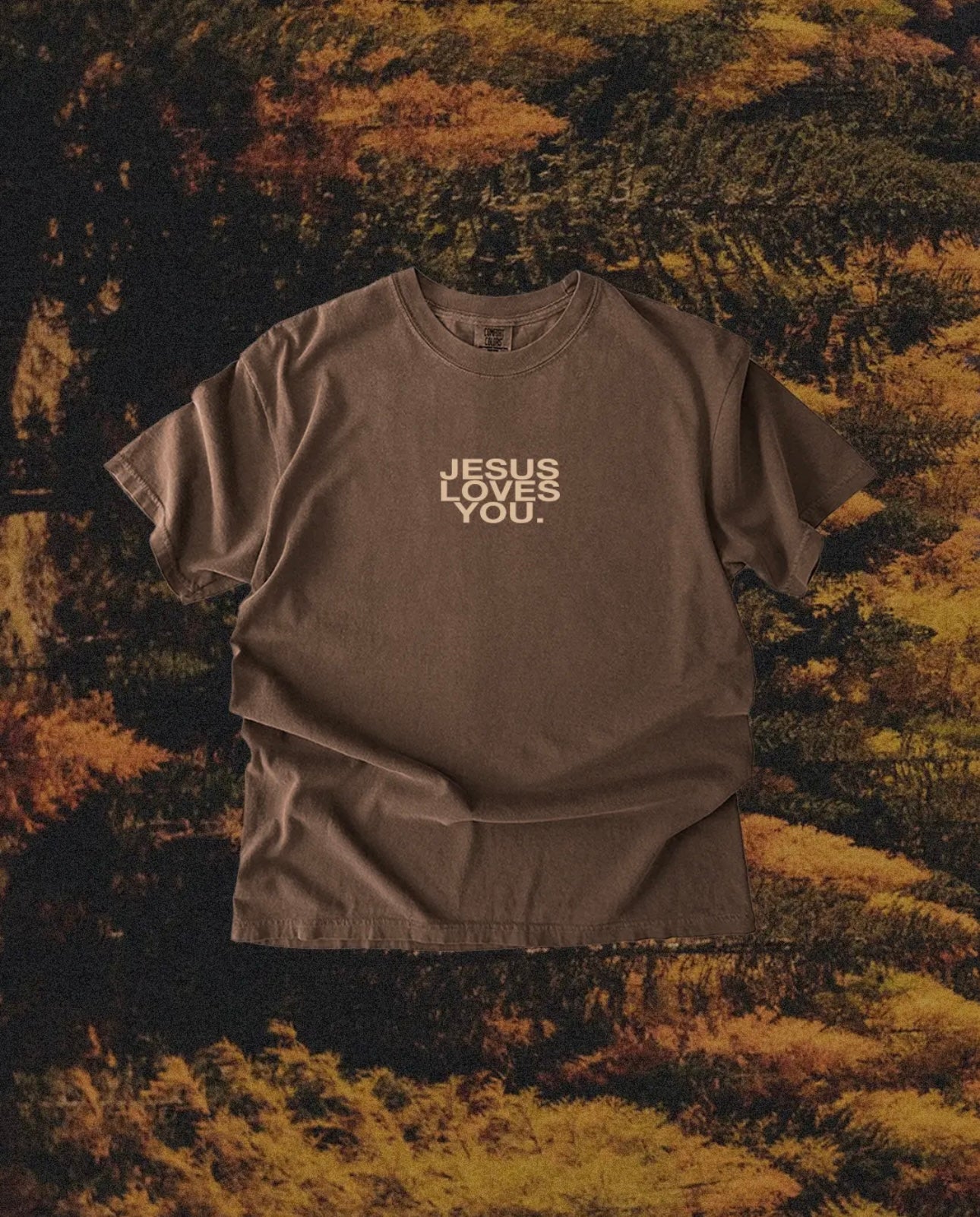 Pre-Order Comfort Colors Jesus Tee